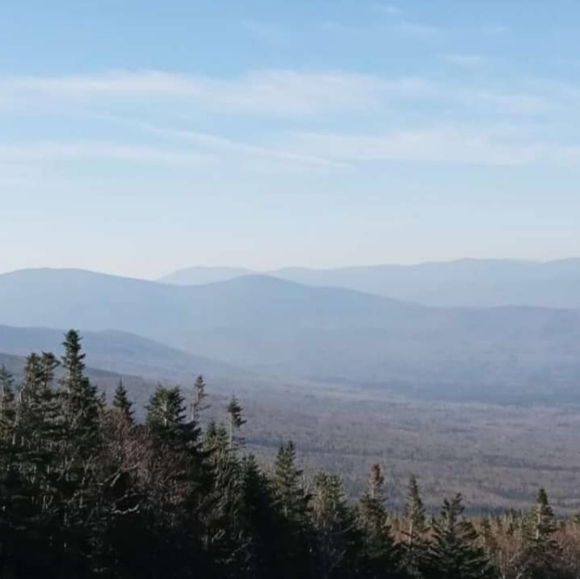 Meet your Posher, Leslie - Picture 2 of 9